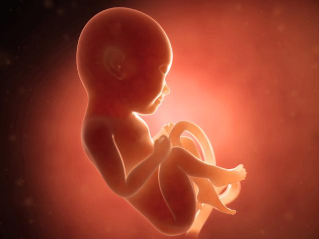 Disturbi In Gravidanza Primo Secondo Terzo Trimestre BimbiSanieBelli it